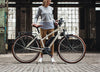 Riese & Muller Cruiser Mixte E-Bike
