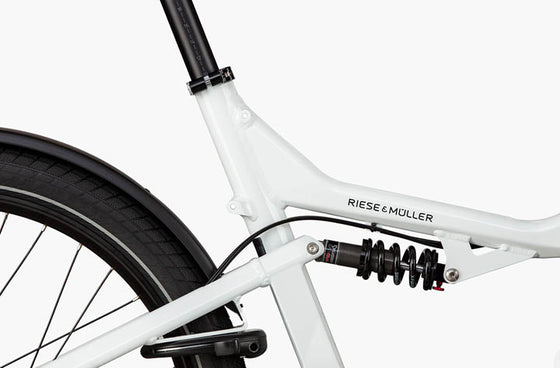 Riese & Muller Packster2 70 Cargo E-Bike | Control Technology | EBike Studio