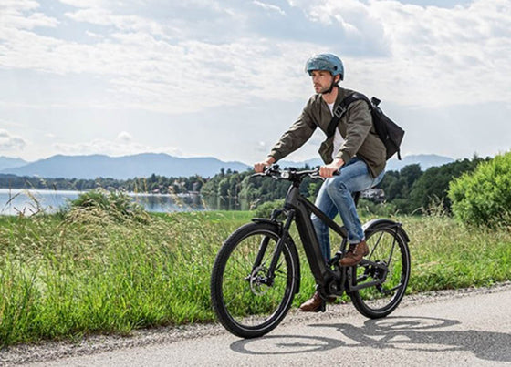 Riese & Muller Delite GT Rohloff E-Bike with GX option and pannier rack