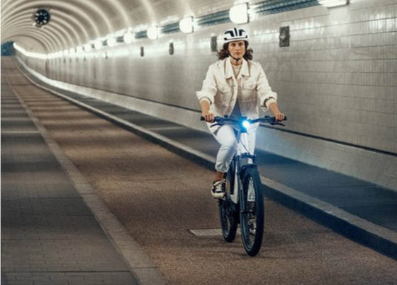 Riese & Muller Nevo3 E-Bike
