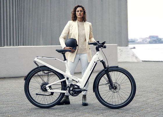 Riese & Muller Homage E-Bike