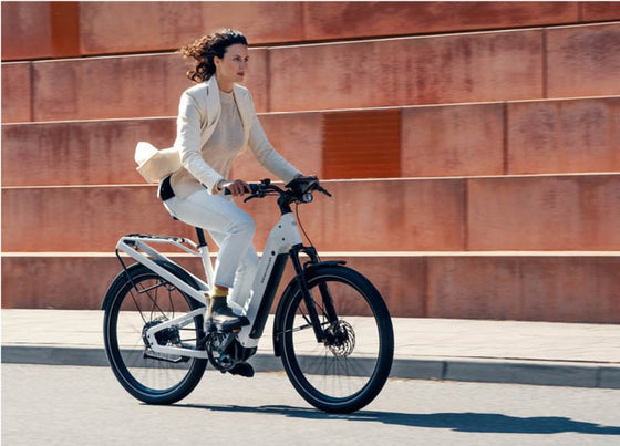 Riese & Muller Homage E-Bike