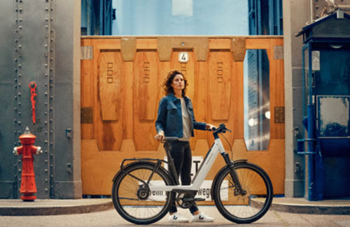 Riese & Muller Nevo3 E-Bike